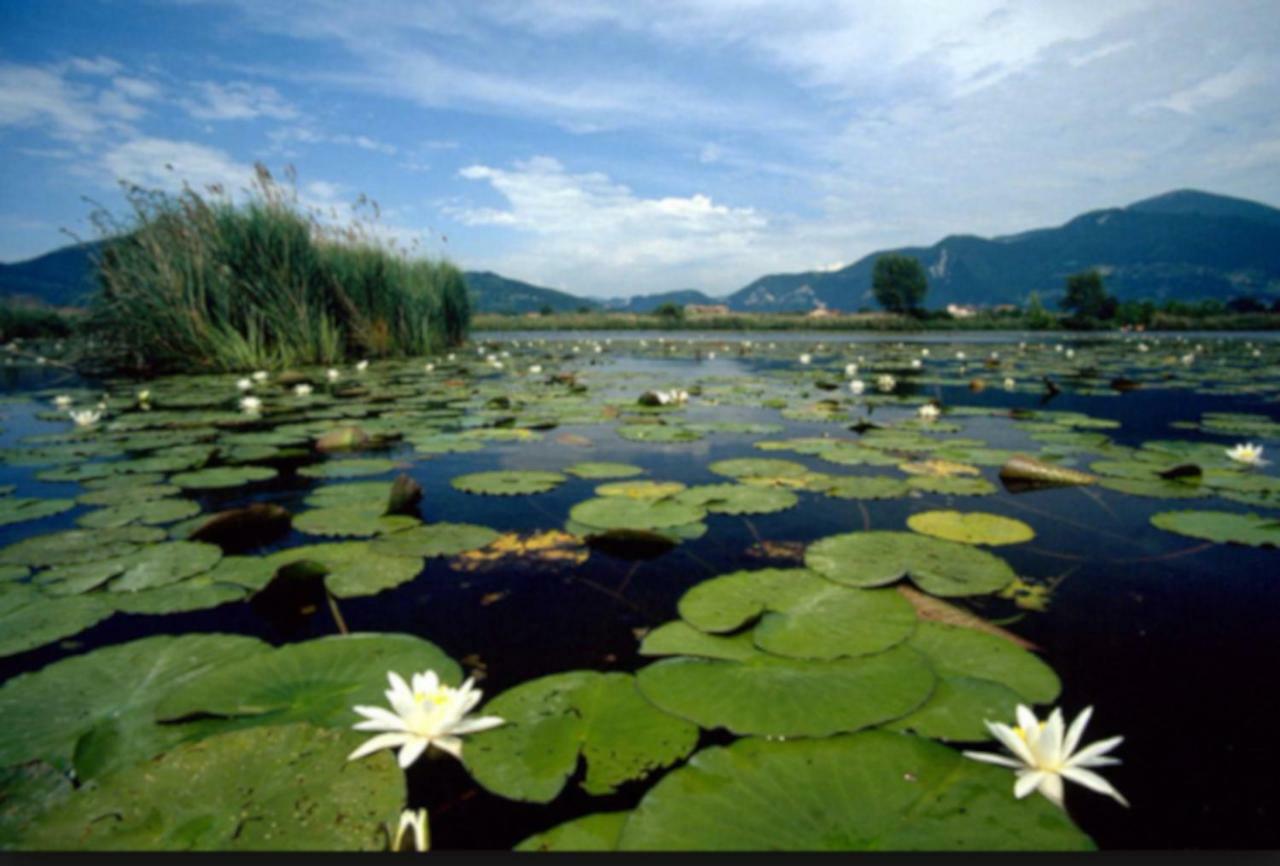 Iseo Lake Home Nature & Relax 外观 照片